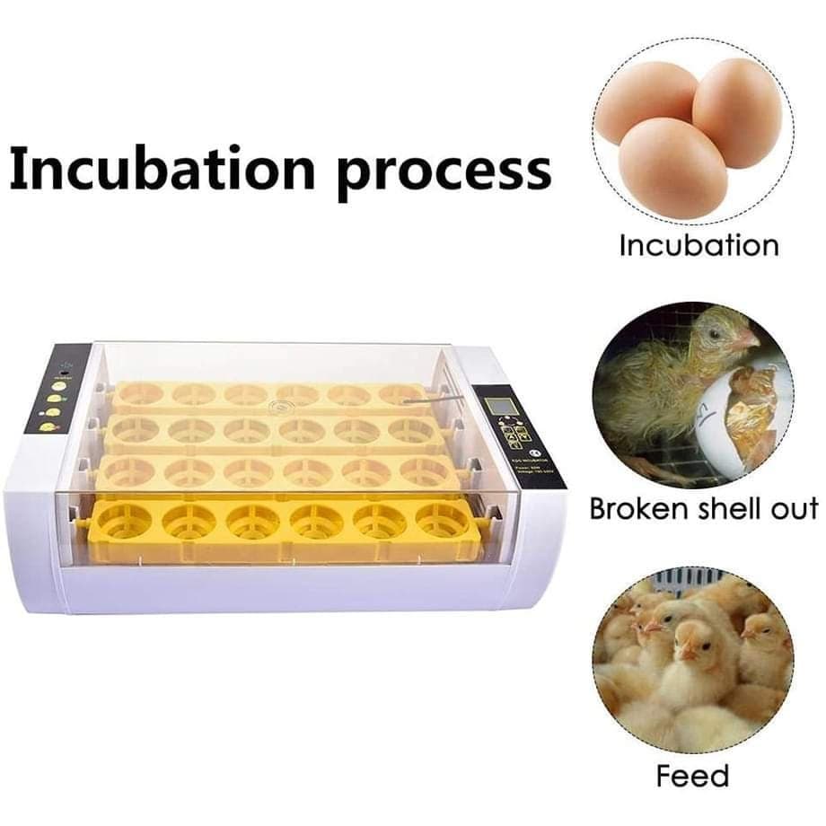 inkubator automatski 24 jaja
